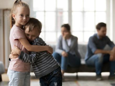 DuPage County, IL child custody lawyer